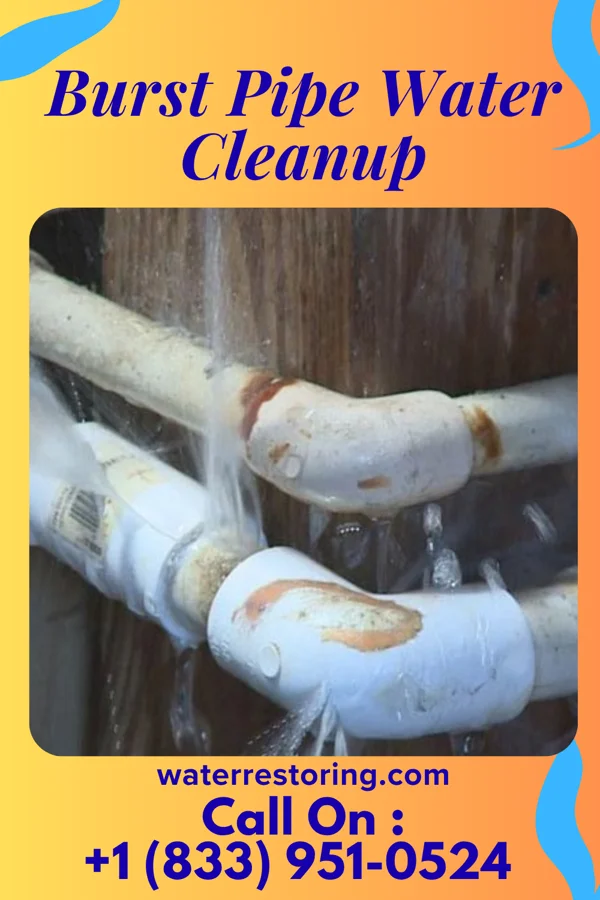 Burst Pipe Water Cleanup in Weston, WV