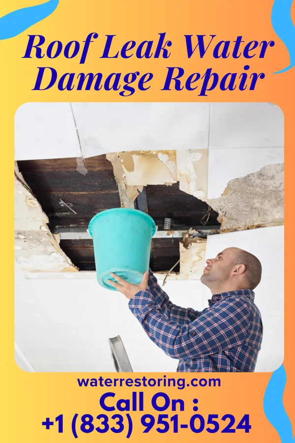 Roof Leak Water Damage Repair in Weston, WV