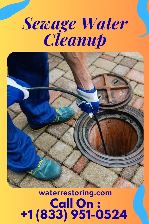 Sewage Water Cleanup in Weston, WV