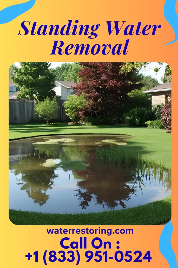 Standing Water Removal in Weston, WV